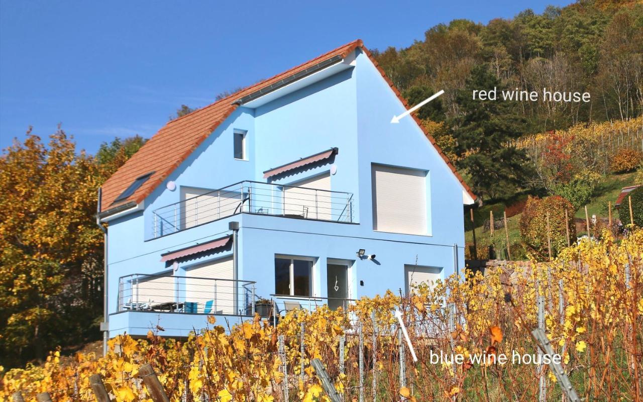 Janea Big Blue House Leilighet Reichsfeld Eksteriør bilde