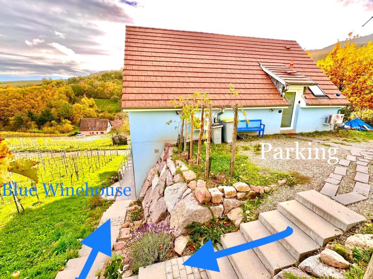 Janea Big Blue House Leilighet Reichsfeld Eksteriør bilde